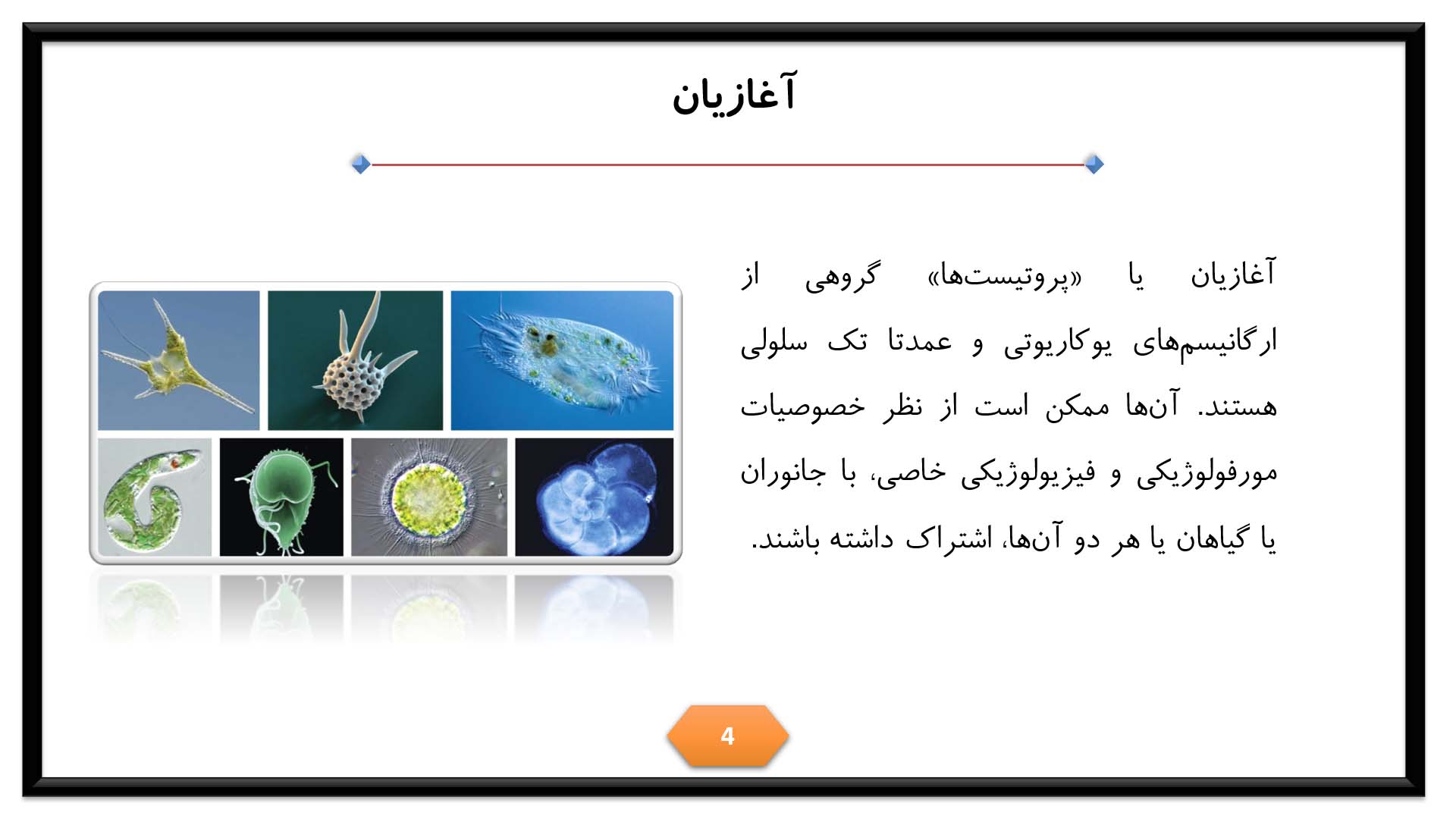 پاورپوینت در مورد آغازیان 